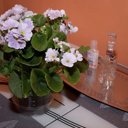 Central Apartment Maria Сибиу Екстериор снимка