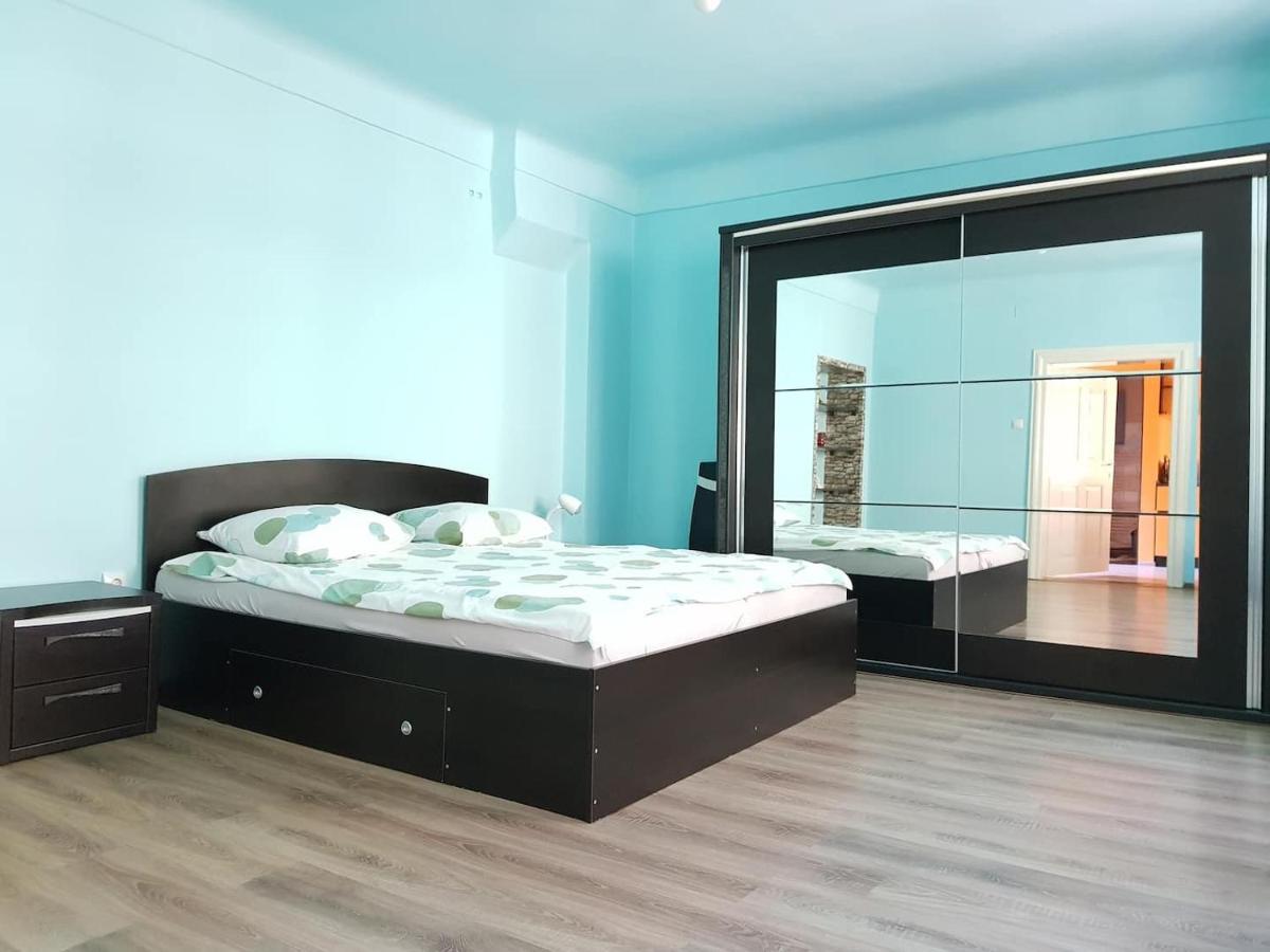 Central Apartment Maria Сибиу Екстериор снимка