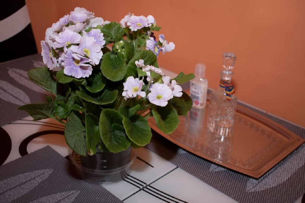 Central Apartment Maria Сибиу Екстериор снимка